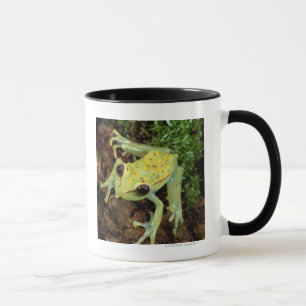 Tree Frog (Hylidae) Mug