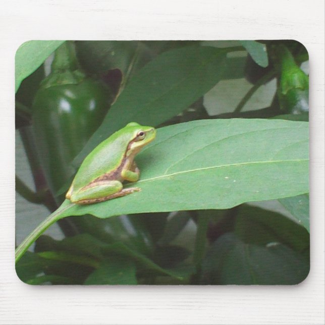 tree frog in the peppers mouse mat (Front)