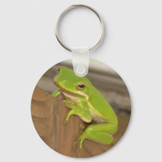 Tree Frog KeyChain