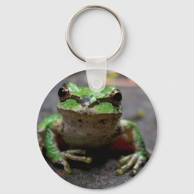 Tree Frog Keychain (Front)