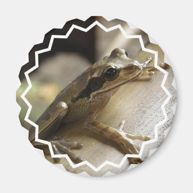 Tree Frog Magnet (Front)