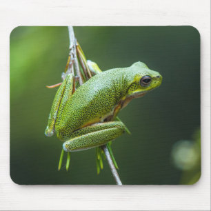 Tree Frog Mouse Mat