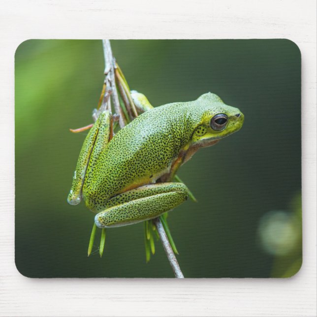 Tree Frog Mouse Mat (Front)