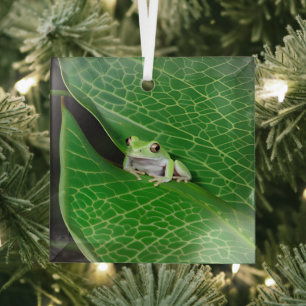 Tree Frog On A Leaf Glass Tree Decoration