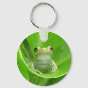 Tree Frog on Blood Orange Leaf -  Key Chain