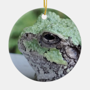 Tree Frog Ornament