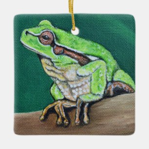 Tree Frog Painting Ceramic Ornament