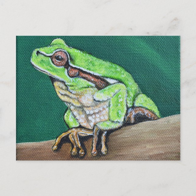 Tree Frog Painting Postcard (Front)