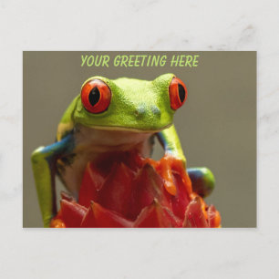 Tree Frog Personalised Postcard