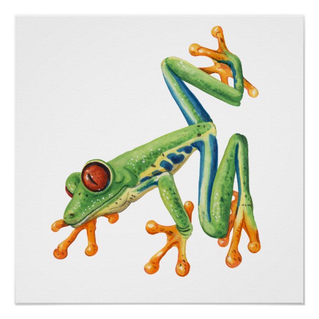 Tree frog poster (Front)