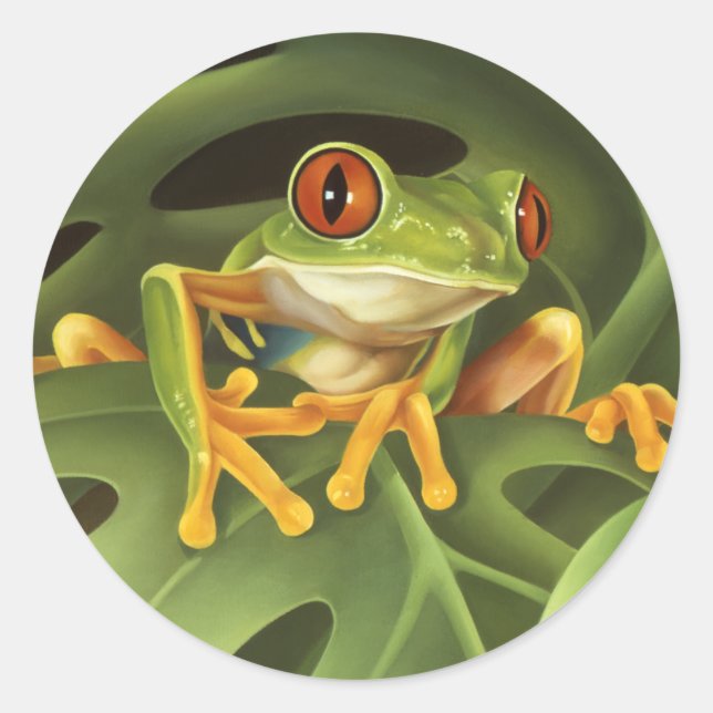 Tree Frog Sticker (Front)