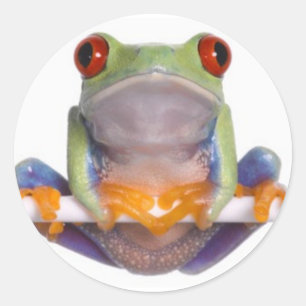 Tree Frog Sticker 2