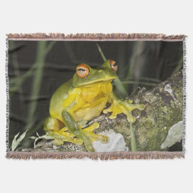 Tree Frog Throw Blanket (Front)