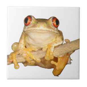 Tree Frog Tile