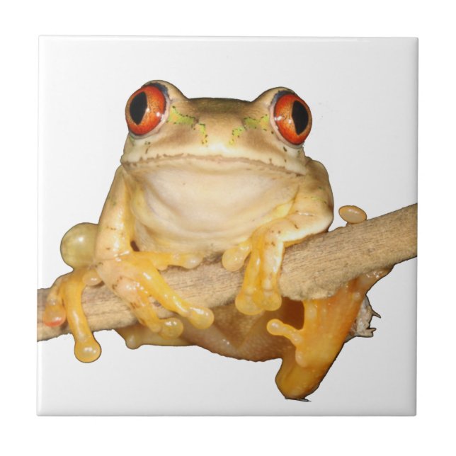 Tree Frog Tile (Front)