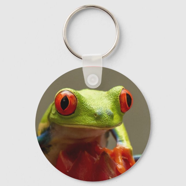 Tree Frog with Red Eyes in Costa Rica Key Ring (Front)