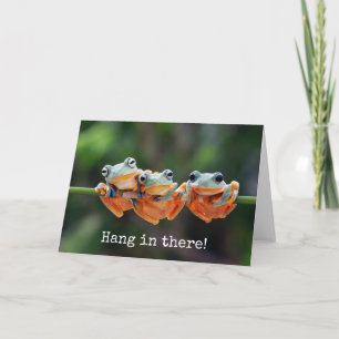 Tree Frogs Trio - Hang in There Postcard