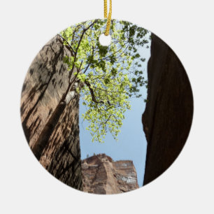 Tree Growing Between Rocks at Zion National Park Ceramic Tree Decoration