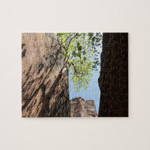 Tree Growing Between Rocks at Zion National Park Jigsaw Puzzle
