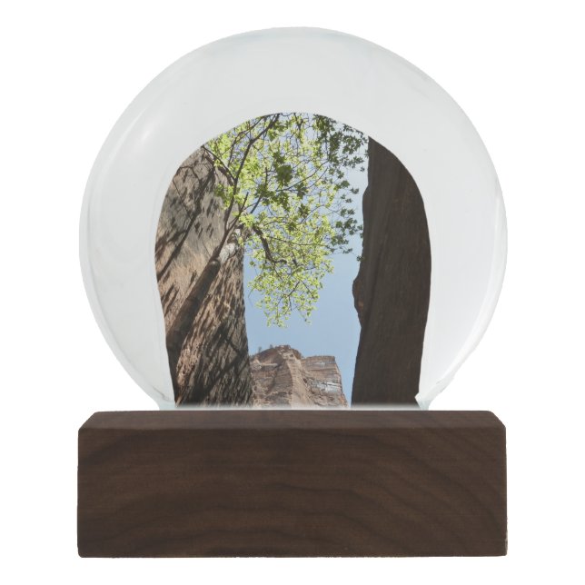 Tree Growing Between Rocks at Zion National Park Snow Globe (Front)