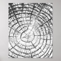 Tree Growth Ring Black and White Fingerprint