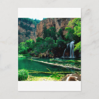 Tree Hanging Lake Glenwood Canyon Colorado Postcard