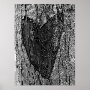 Tree Heart Carving Poster