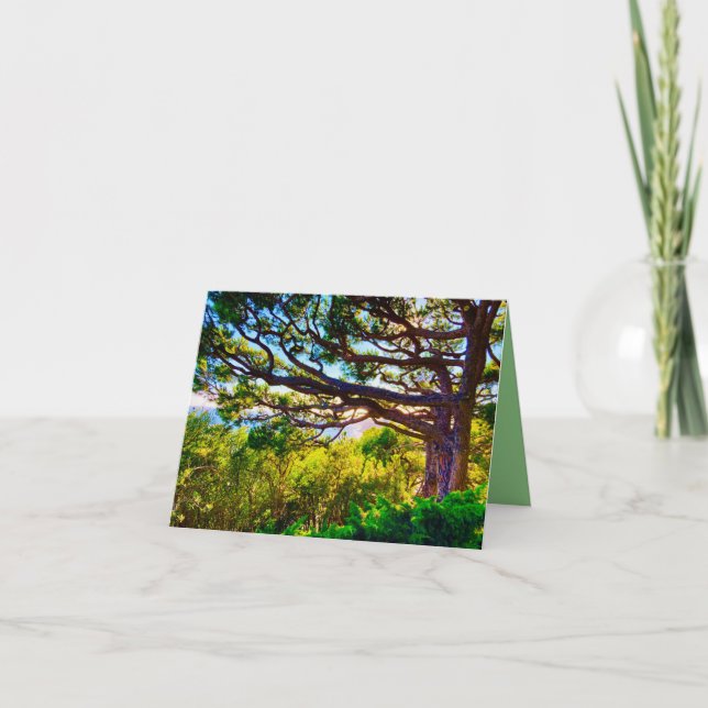 Tree Hideaway Card (Front)