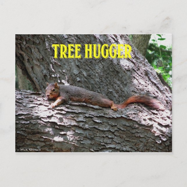 Tree Hugger! Postcard (Front)