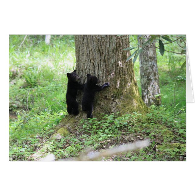 Tree Huggers (Front Horizontal)