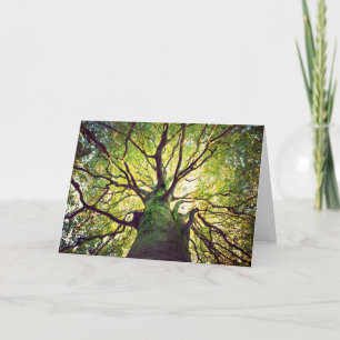 Tree Hugging Card