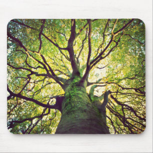 Tree Hugging Mouse Mat