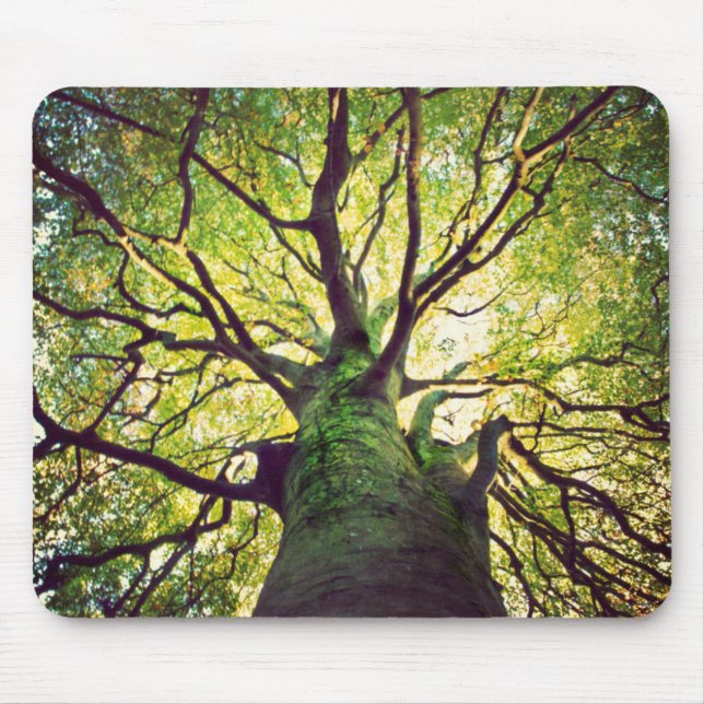 Tree Hugging Mouse Mat (Front)