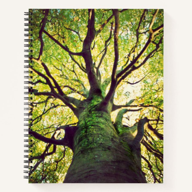 Tree Hugging Notebook (Front)