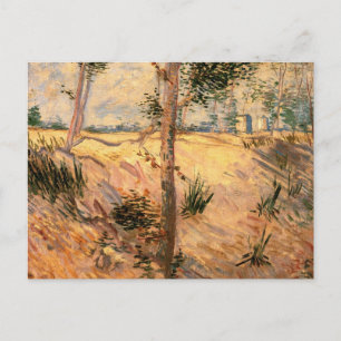 Tree in a Field on a Sunny Day by Vincent van Gogh Postcard