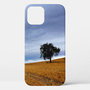 Tree in a wheat field iPhone 12 pro case
