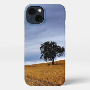 Tree in a wheat field iPhone 13 case