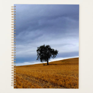 Tree in a wheat field planner