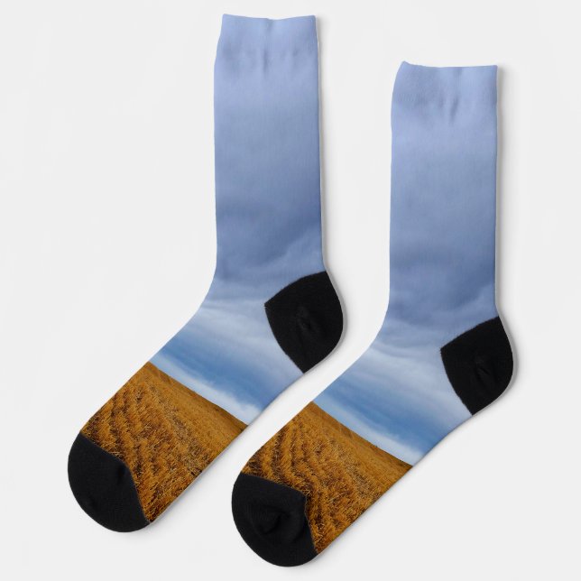 Tree in a wheat field socks (Left)