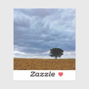 Tree in an empty field