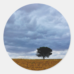 Tree in an empty field classic round sticker