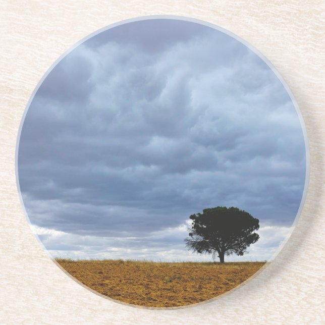 Tree in an empty field coaster (Front)