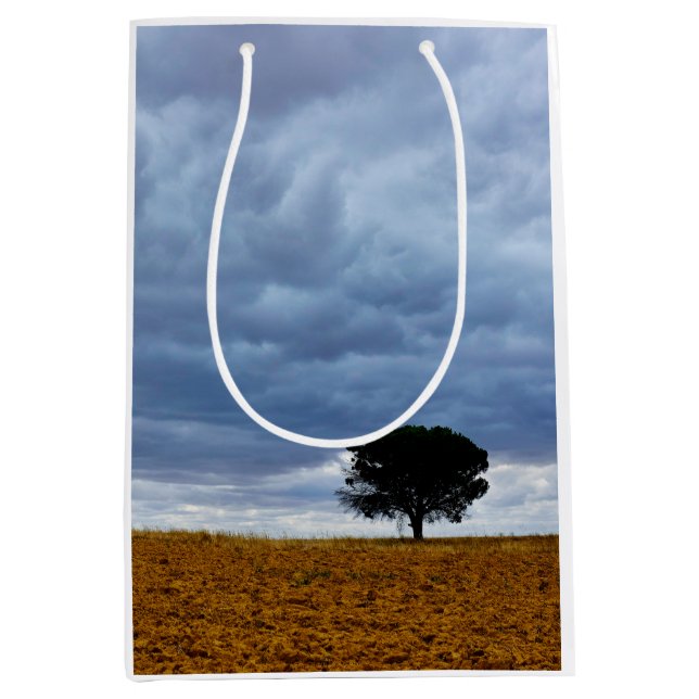 Tree in an empty field medium gift bag (Front)