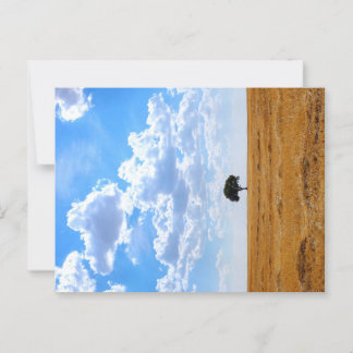 Tree in an harvested wheat field postcard