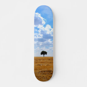 Tree in an harvested wheat field  skateboard