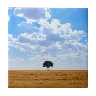 Tree in an harvested wheat field tile