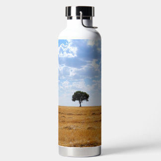 Tree in an harvested wheat field water bottle