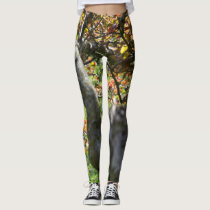 Tree in Autumn Photography Leggings