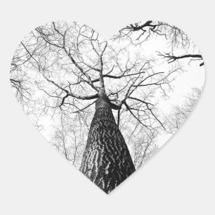 Tree in black and white heart sticker