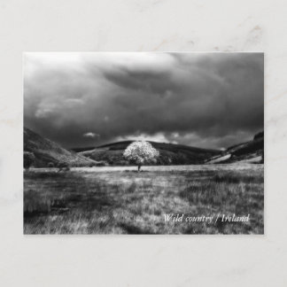 Tree in countryside postcard